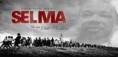 DOWNLOAD – SELMA – UMA LUTA PELA IGUALDADE (2015) – BLU-RAY 1080P – DUBLADO