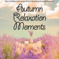 Cd VA – Autumn Relaxation Moments Best of Chillout and Lounge for the Fall and Late Summer Moments (2015) Torrent