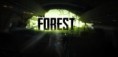 DOWNLOAD – THE FOREST – ALPHA V0.18